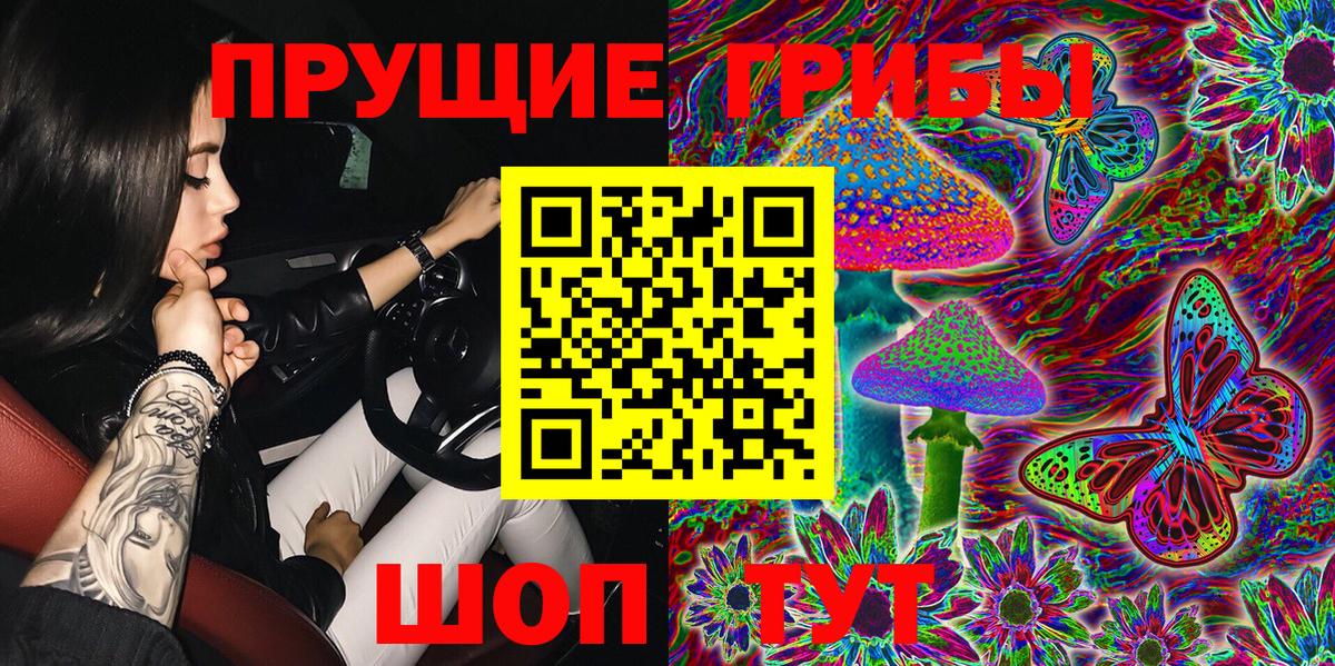 Псилоцибиновые грибы Psilocybe  Вход с VPN  Салават  Псилоцибиновые грибы Cubensis 
