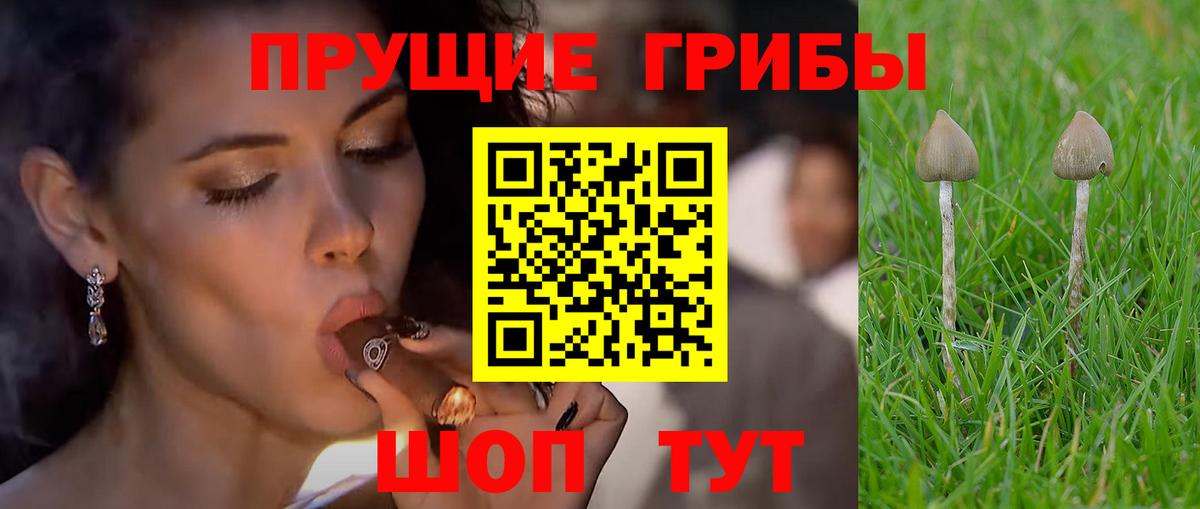 Галлюциногенные грибы мухоморы Салават